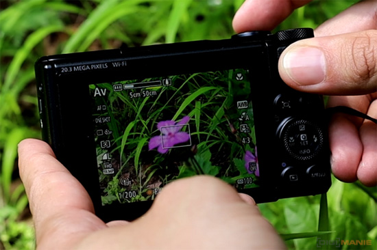 5 tipů pro lepší makro fotky kompaktem a ultrazoomem