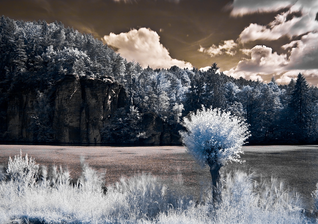 Objevte svět infrafotografie