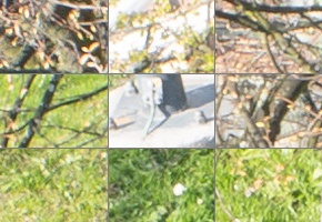 Panasonic Lumix S 24-105mm F4 Macro O.I.S.