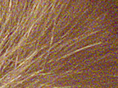 Fujifilm FinePix HS20EXR: důstojný nástupce