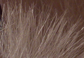 Samsung EX2F: významný krok vpřed