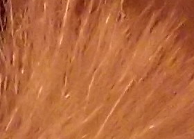 Fujifilm FinePix T200: nejlevnější ultrazoom Fuji