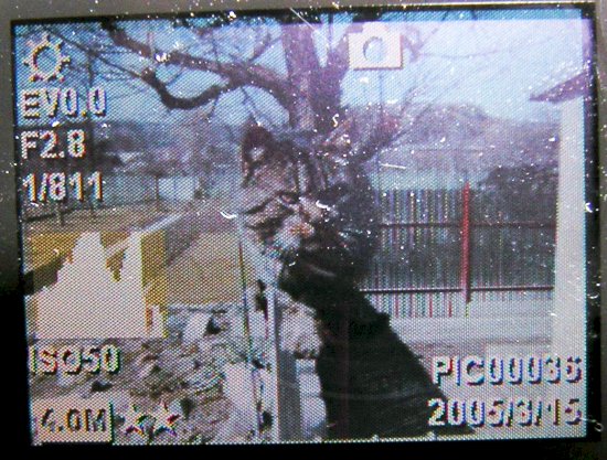 Pentagram Photon 484: Svérázný 4 Mpix ultrazoom