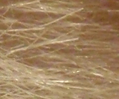 Olympus mju 9000: 10× ultrazoom v kompaktním balení