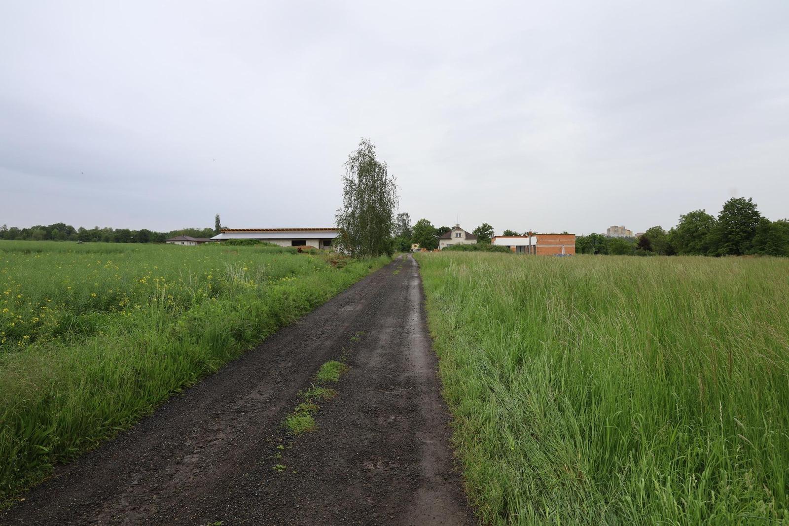 Canon RF 24-105mm f/4 L IS USM