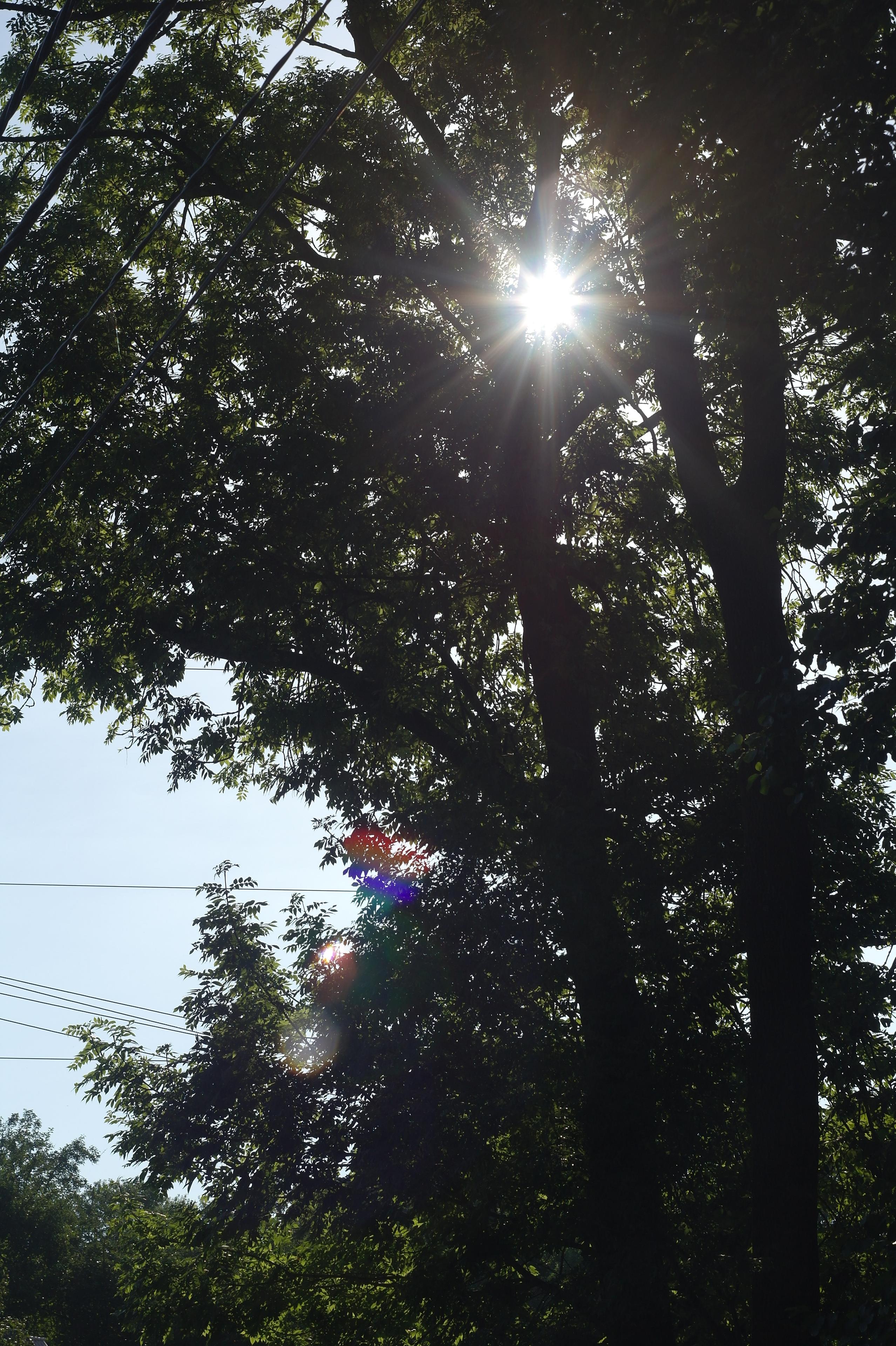 Helios-44M 58mm F2.0 (M42)