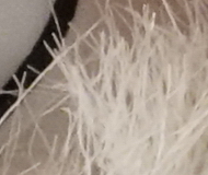 Sony A7R II (ILCE-7RM2): detaily na druhou