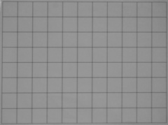 Panasonic Lumix FZ45 a FZ100: na vrcholu