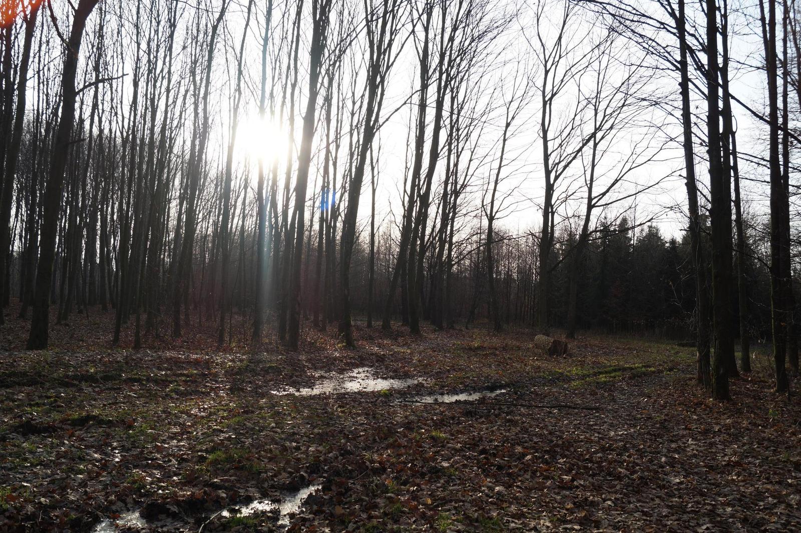 Sony SLT-A58: silný základ