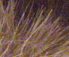 Canon PowerShot G11: géčko, o jakém jsme snili