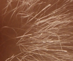 Sony Alpha A230: nejlevnější z nového trojlístku