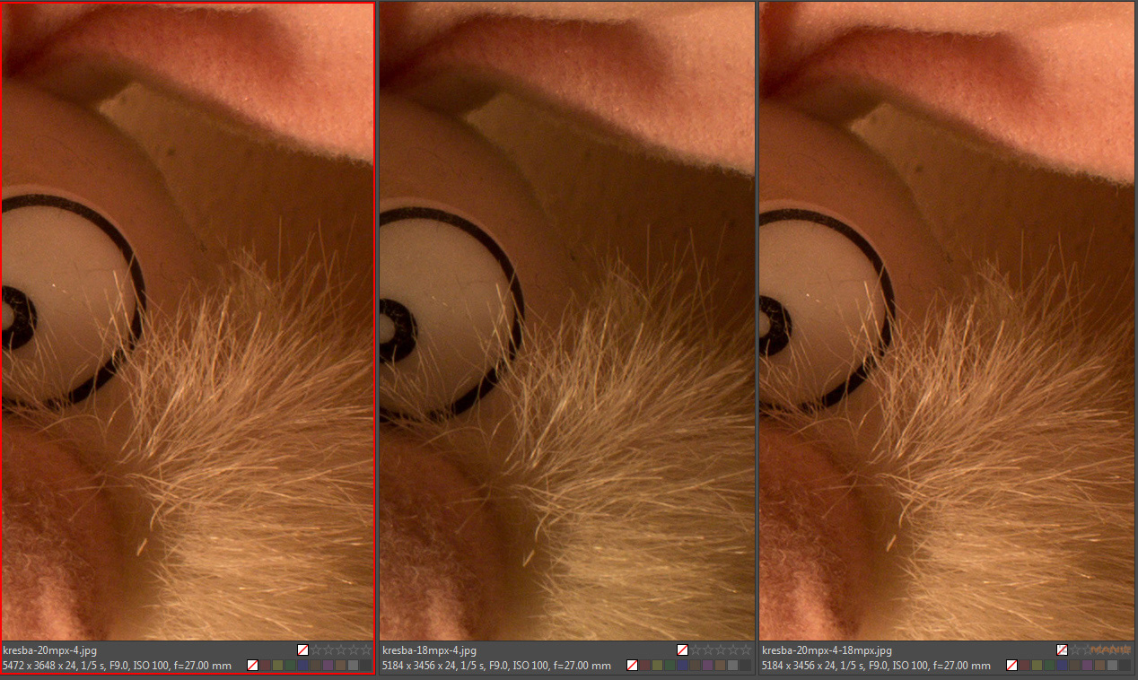 Souboj senzorů: APS-C Canon 18 MPx vs. 20 MPx