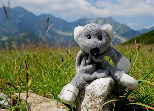 Fotíme s Koalou: Makro a telemakro