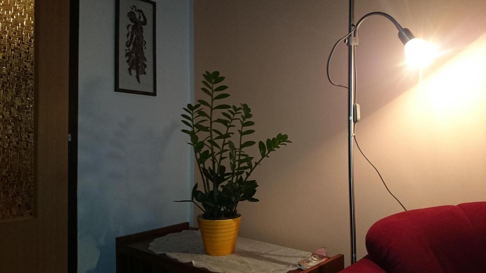 Sony Xperia Z1: megaAndroid