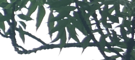 Jupiter-9 85mm F2.0 (M39)