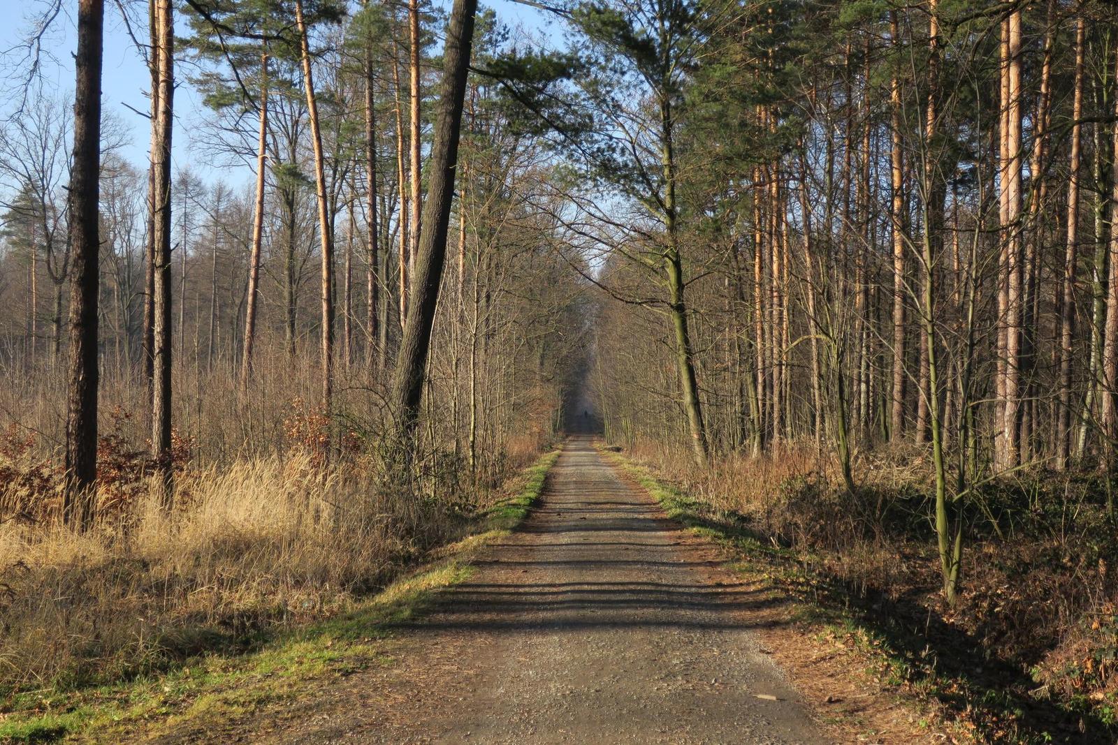 Canon PowerShot G9 X: skladný dotykáč