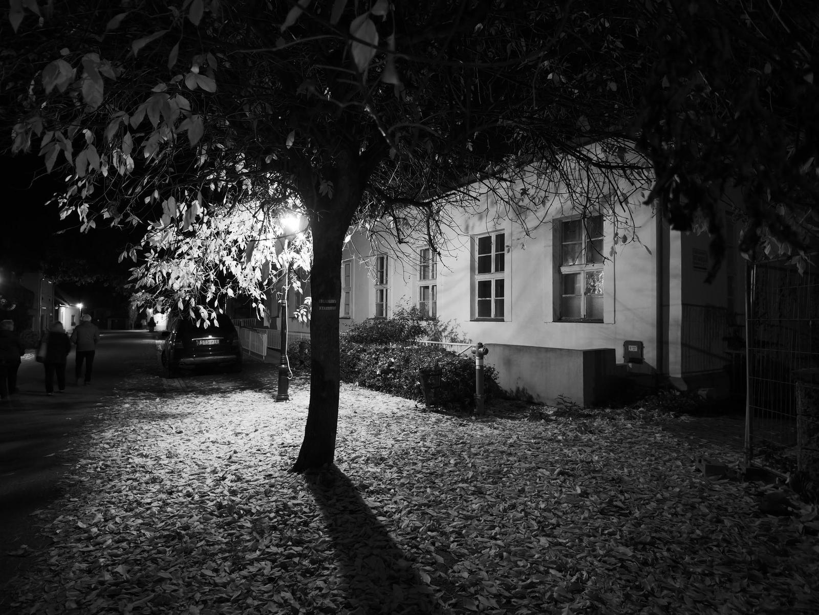 Panasonic Leica Summilux DG 9mm f/1.7 ASPH.