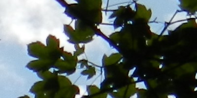 Nikon Coolpix S9100: rudý bojovník