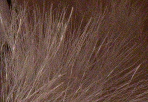 Sony a3000 (ILCE-3000): CSC co nejlevněji