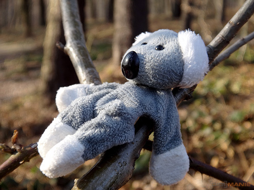 Fotíme s Koalou: Ostření