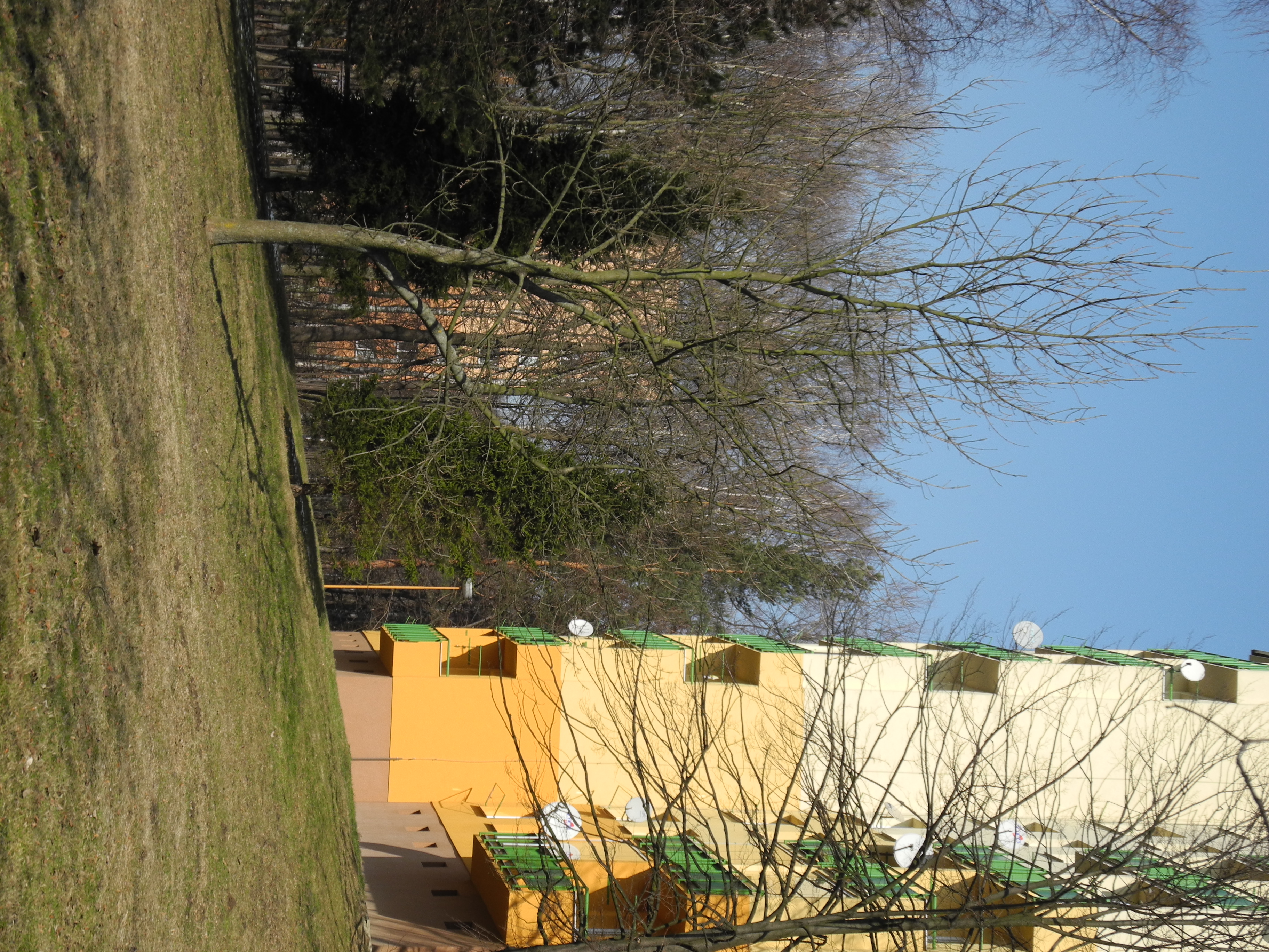 Nikon Coolpix P7000: lepší než jsme čekali