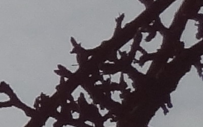 Sony Cyber-shot WX7: překoná skvělou WX5?