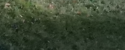 Panasonic Lumix GH5 II: nejen pro vloggery