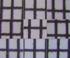 Canon PowerShot SX210 IS: s překvapivou zbraní