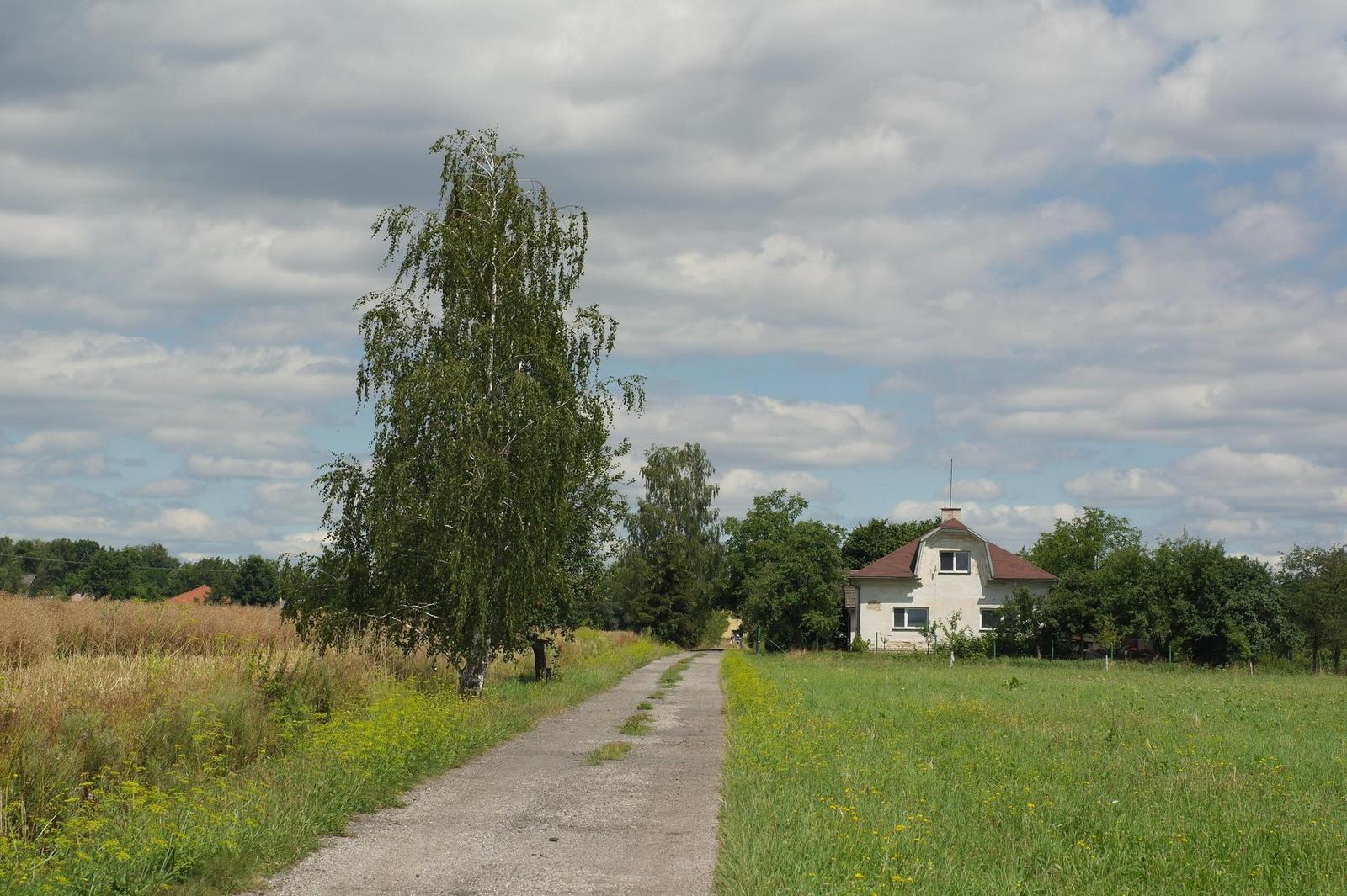 Minolta MD Rokkor 45mm F2.0 (MD)