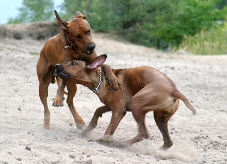 Jaký digitální fotoaparát na dovolenou? – 5.díl