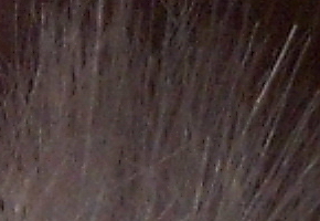 Genius G-Shot 510: vodník za pár korun