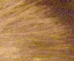 Nikon Coolpix P90: napodruhé mnohem lépe