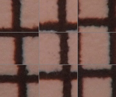 Olympus M.Zuiko Digital 14-150 mm F4-5,6