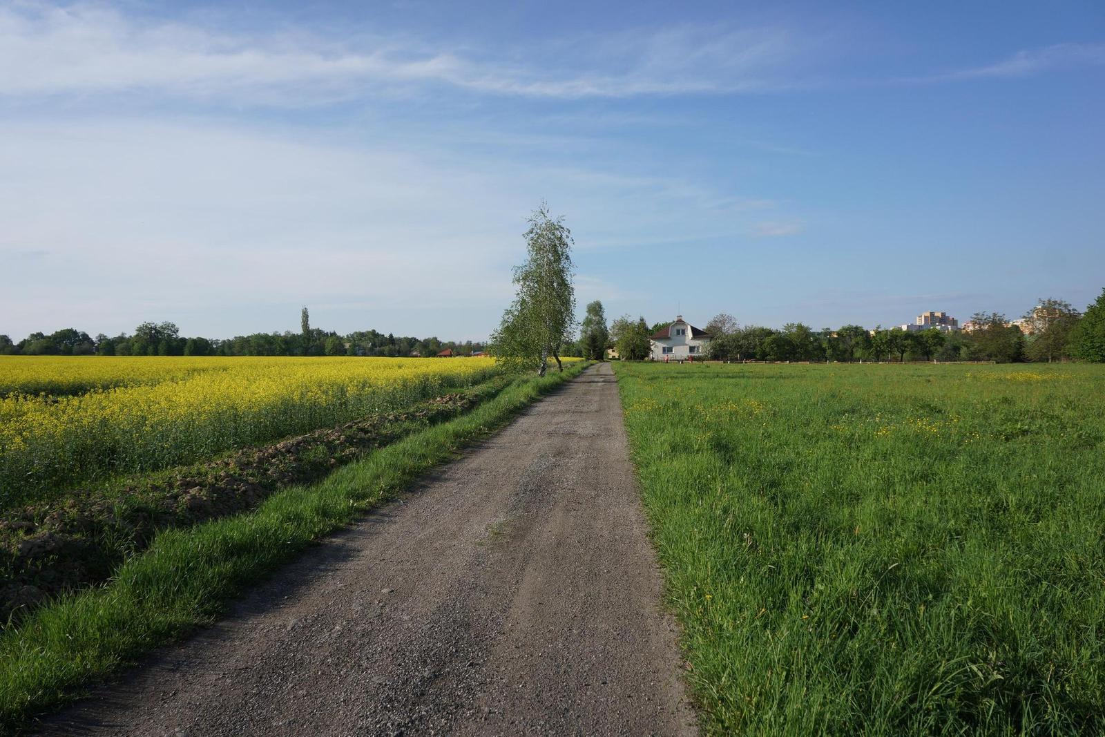 Sony NEX-7: správná (r)evoluce