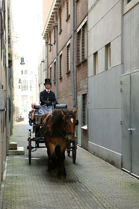 S fotoaparátem po Holandsku: III.