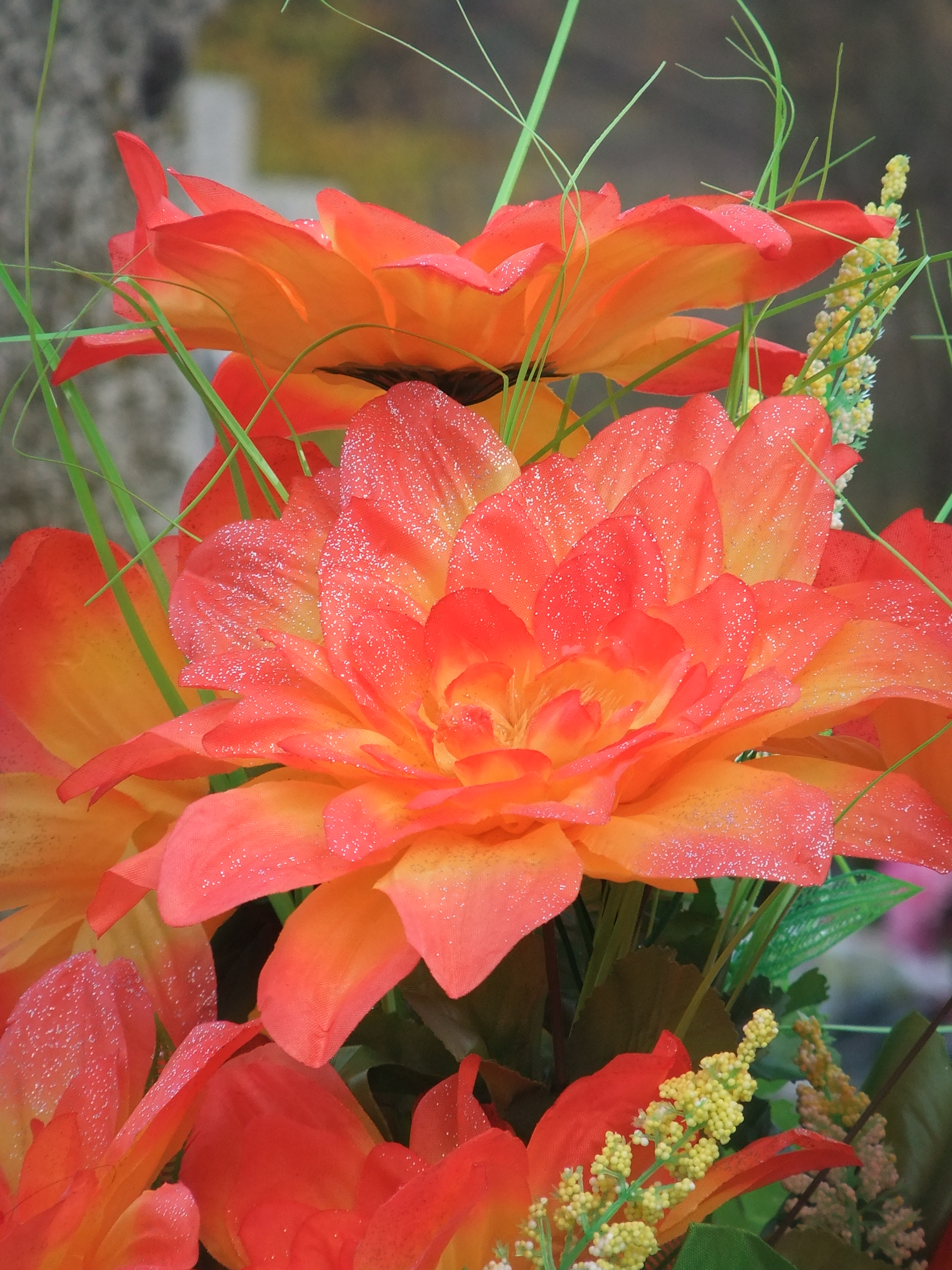 Fujifilm FinePix F70EXR: šum nemá šanci