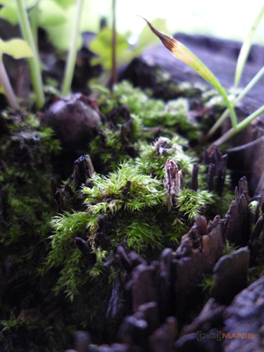 Panasonic Lumix LZ10: překvapivý všeuměl