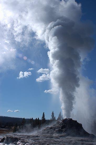 Tip Digimanie pro tento týden - Zvířata a krajinky Jaroslava Tichého