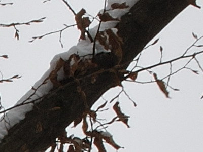 Dva objektivy nebo jeden ultrazoom?