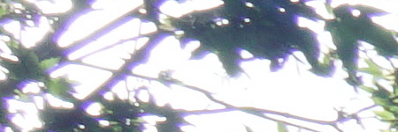 Sony Carl Zeiss Vario-Tessar T* 16-70mm F4 OSS (SEL1670Z)