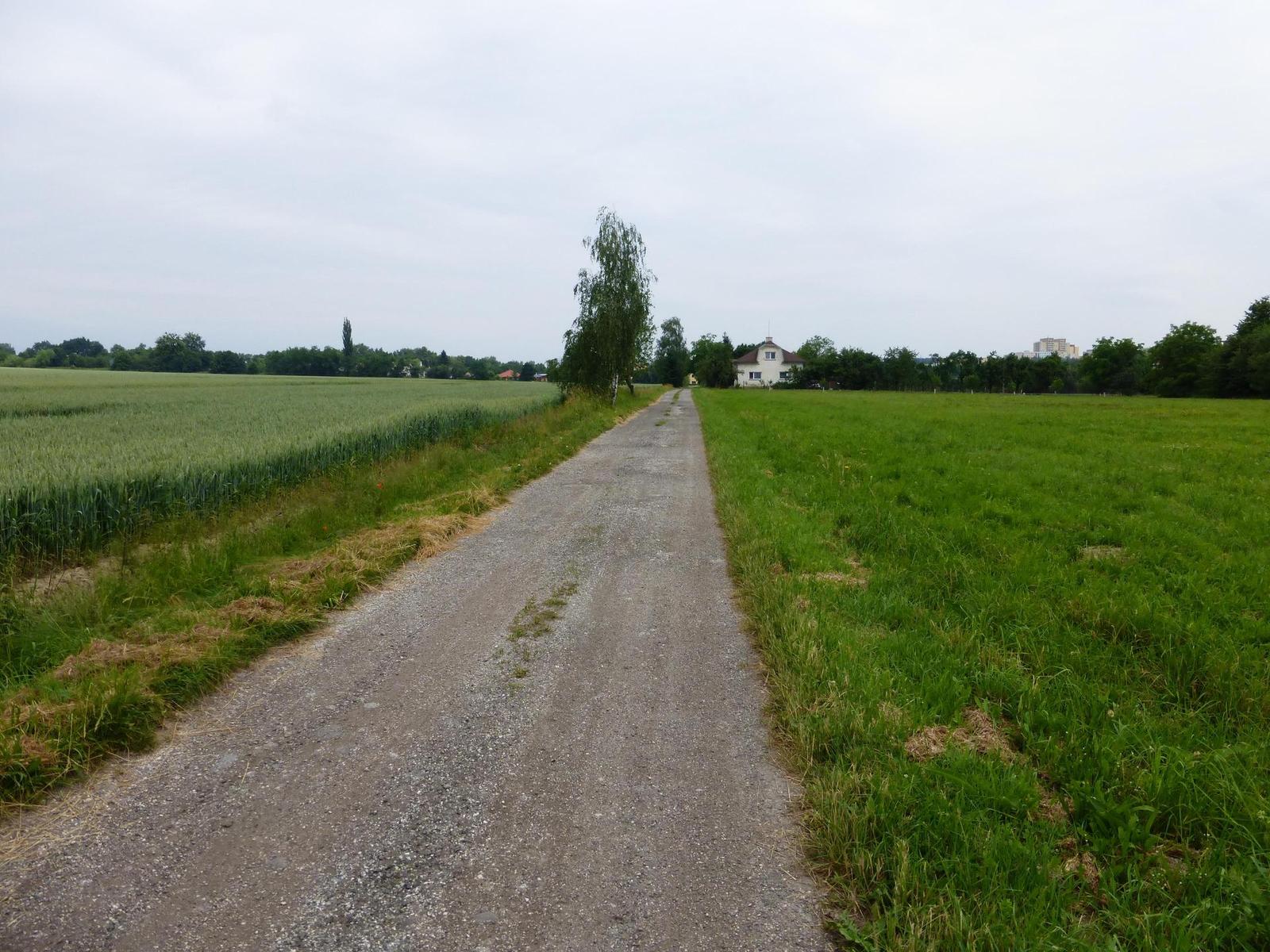 Panasonic Lumix TZ35 a TZ40: o čtyři více