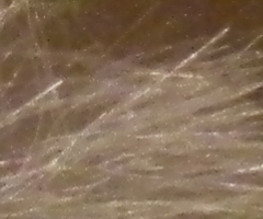 Nikon Coolpix S1100pj: kino v kompaktu