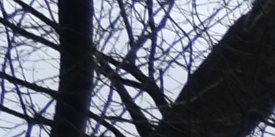 Fujinon XF 18mm f/2R