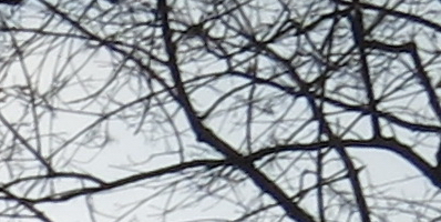 Canon PowerShot G15: lépe už to (asi) nepůjde