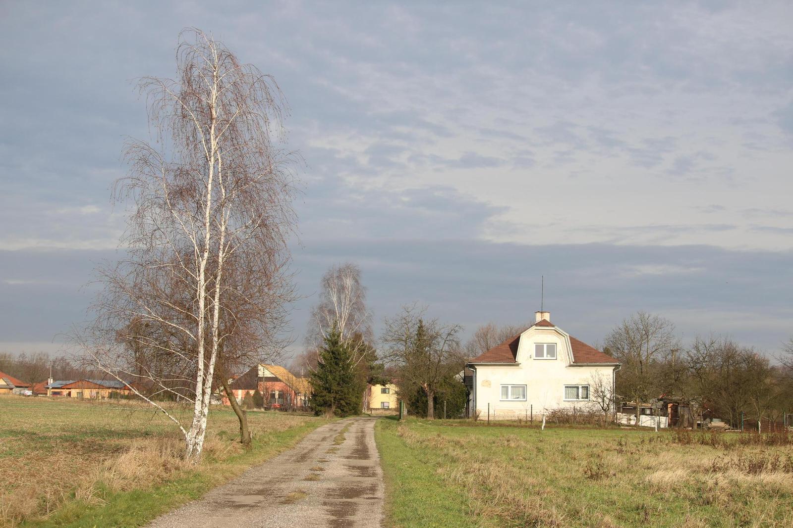 Canon EF-S 55-250mm f/4.0-5.6 IS STM