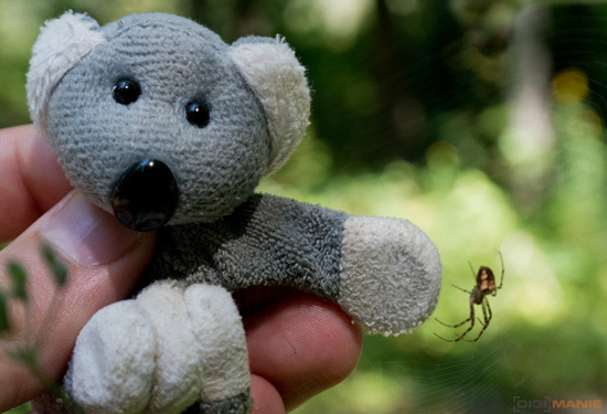 Fotíme s Koalou: Zvířátka