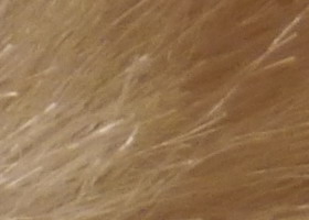 Panasonic Lumix G3: menší a lehčí, je i lepší?