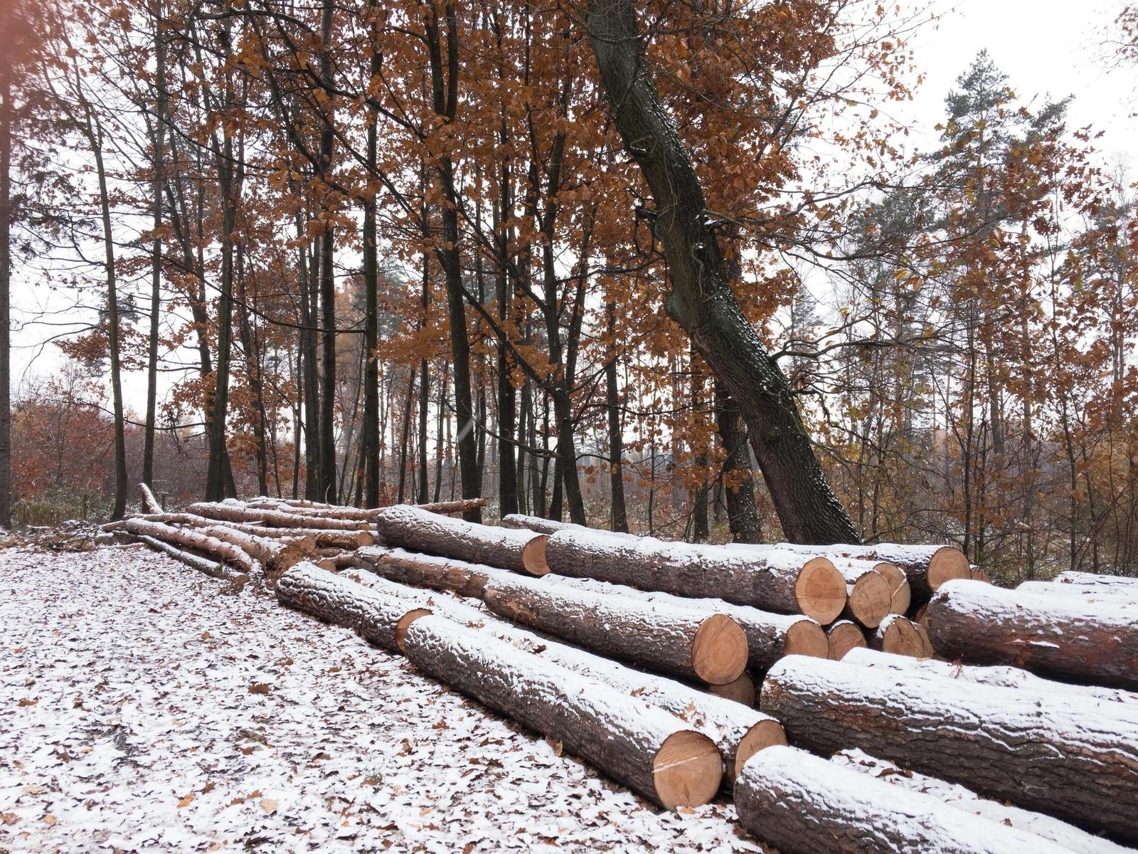 Apple iPhone SE: kompaktní silák