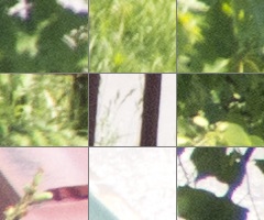 Olympus M.Zuiko Digital 40-150 mm F4-5,6 + nová R verze