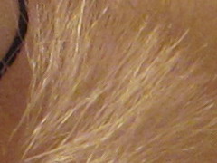 Canon IXUS 220 HS: multifunkční Karkulka